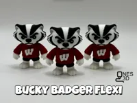 3 Flexi Bucky's 1 Flush
