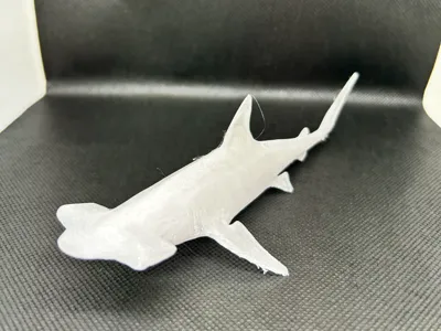 Hammerhead Shark Skull Fossil by Boys Day Design MakerWorld