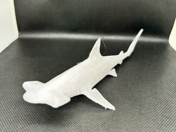 https://makerworld.bblmw.com/makerworld/model/US67216666acc808/design/2024-12-17_d7ffaa8533c92.jpeg