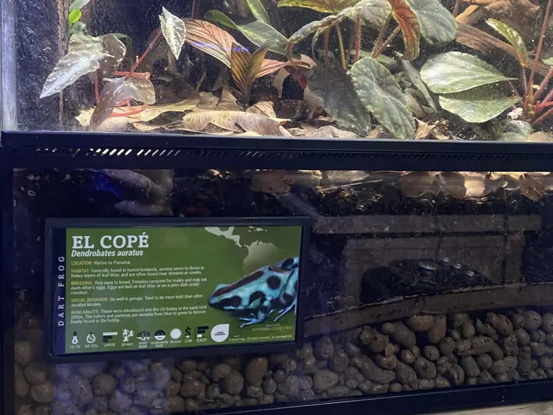 Pet Labels Display Frame