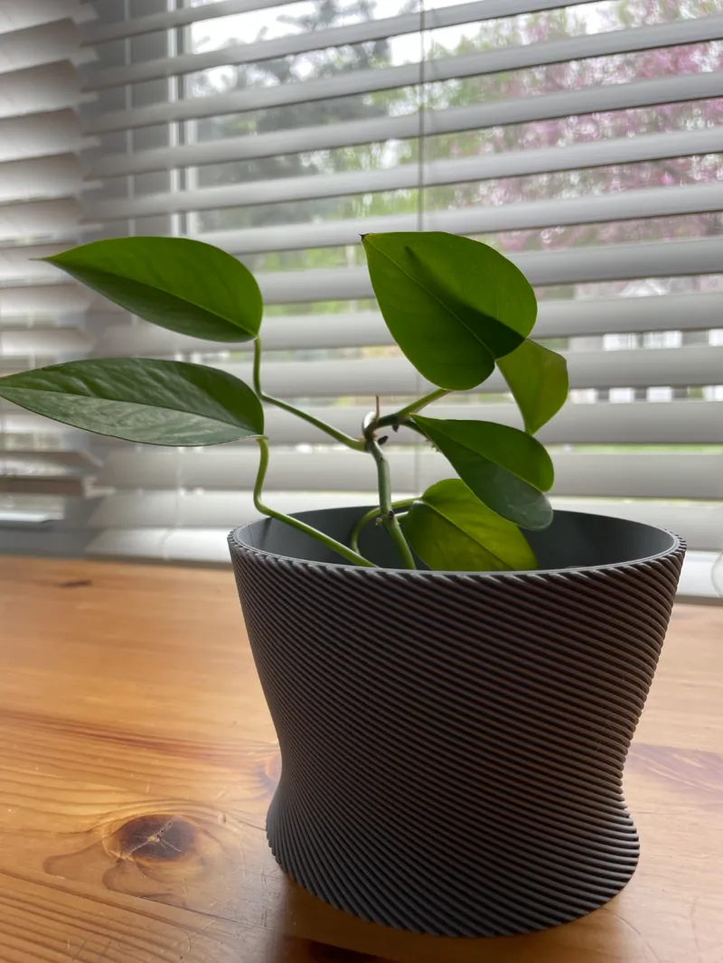 Modern Spiral 5x5x3.5 Planter