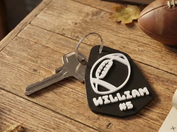 https://makerworld.bblmw.com/makerworld/model/US6727d7a0a34e79/design/b8bae720c329ecde.jpg