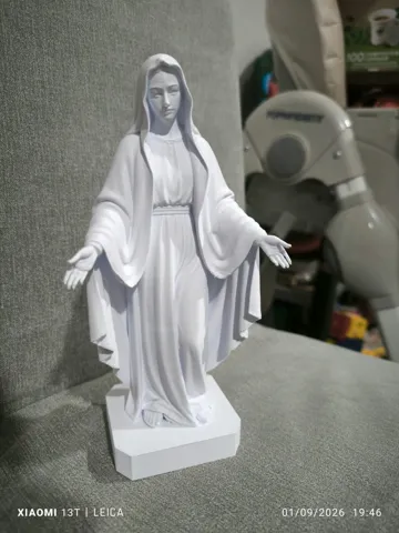 Figura decorativa: Statua della Vergine Maria Miracolosa — vista de referencia 3