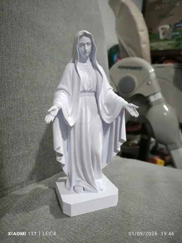 Figura decorativa: Statua della Vergine Maria Miracolosa — vista de referencia 4