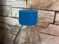 V1