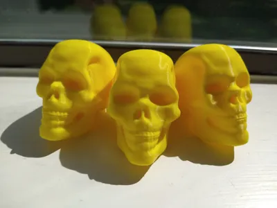 Anatomically Proportioned Skull Trio