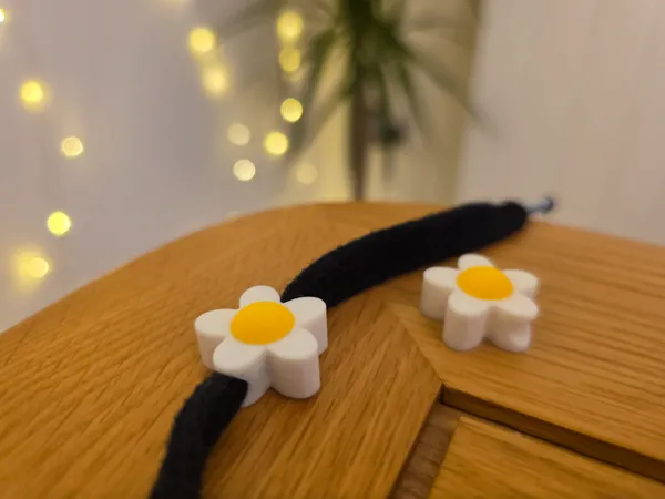 https://makerworld.bblmw.com/makerworld/model/US6739c036b35138/design/2025-03-12_0a0cc39a31a26.jpg