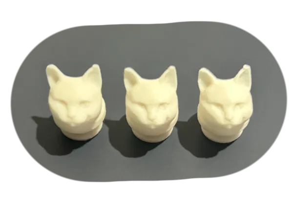 https://makerworld.bblmw.com/makerworld/model/US673d424c2e804a/design/2025-06-11_827b36124c7d78.png