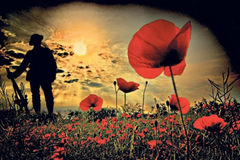 Rememberance poppy field with Solider Hueforged