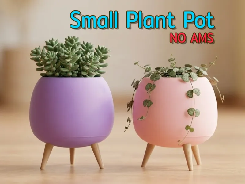 Small plant pot