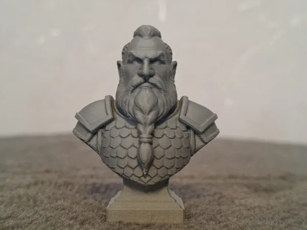 https://makerworld.bblmw.com/makerworld/model/US67466133b20ad3/design/fe66425d98bb3e8d.jpeg