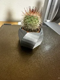Pot pour cactus IKEA Cactaceae — photo 2