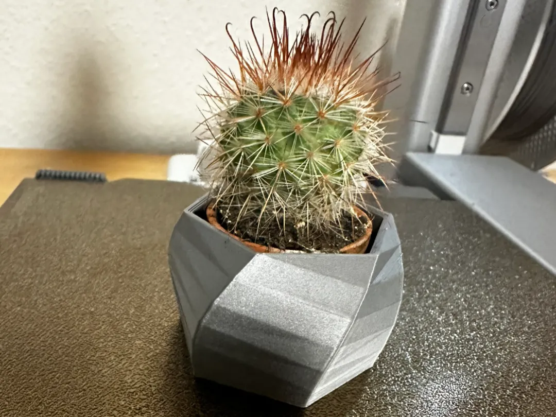 Pot pour cactus IKEA Cactaceae
