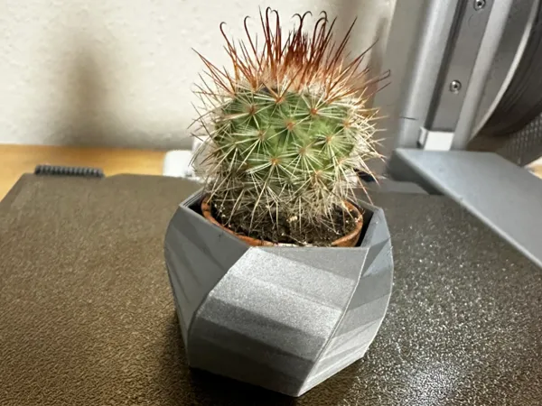 Pot pour cactus IKEA Cactaceae