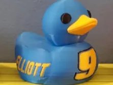 Chase Elliott Duck