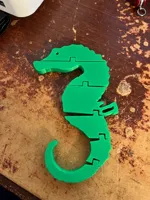 Hippocampe articulé — photo 3