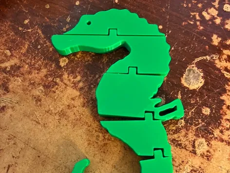 Hippocampe articulé