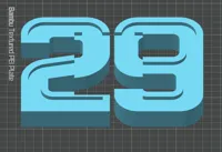 #29