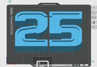#25