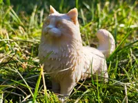 Ragdoll