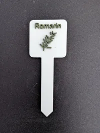 Français - Romarin