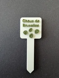 Français - Choux de Bruxelles