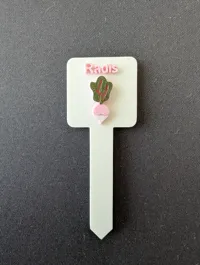 Français - Radis