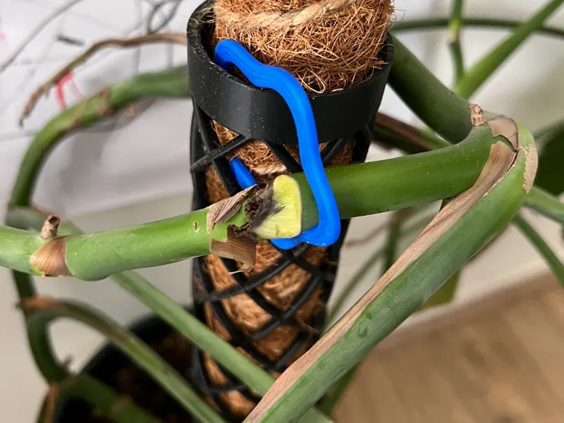 Wavy Moss Pole / Climbing Plant Clip (Parametric)