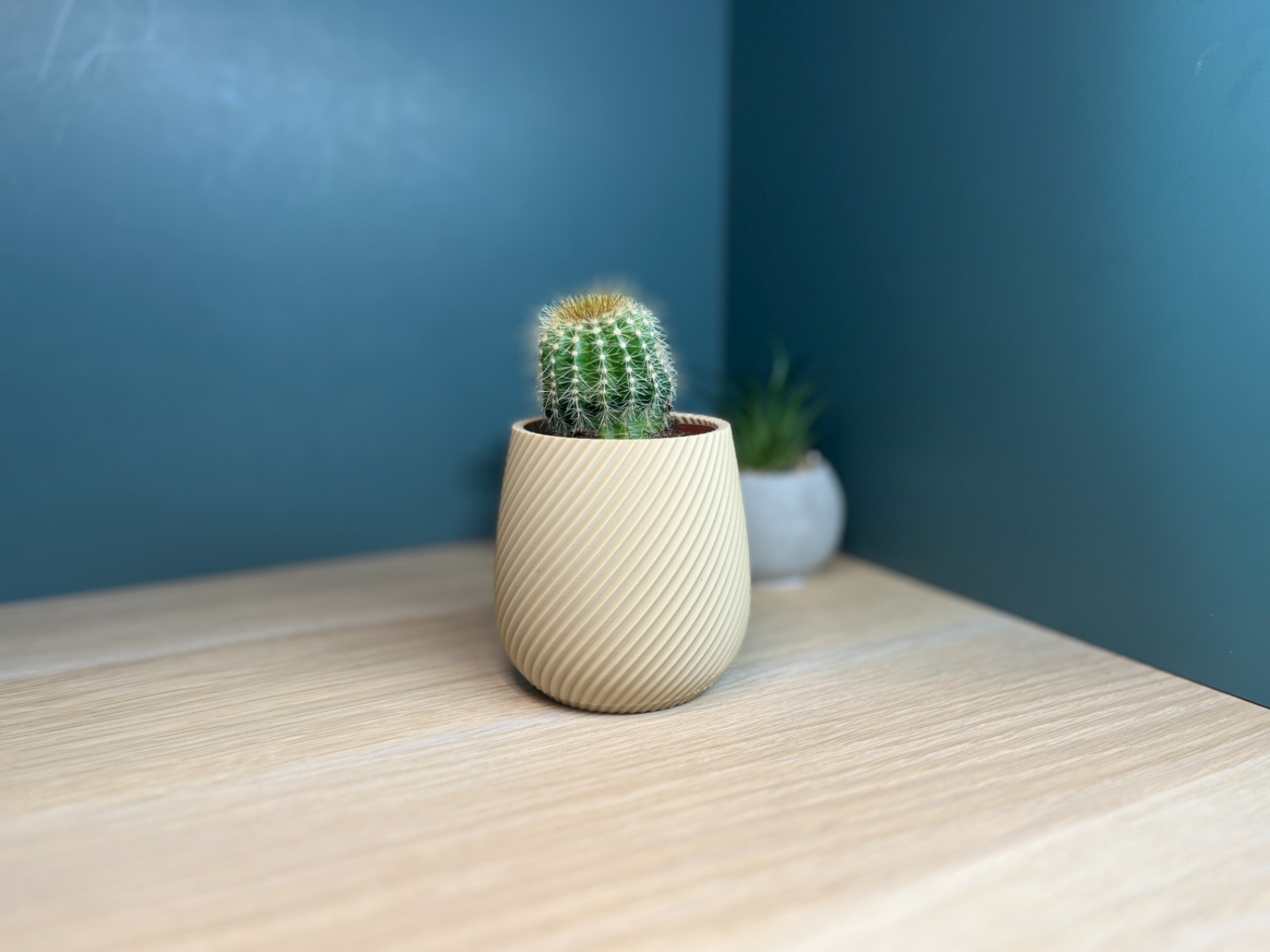 Spiral Mini Planter | Modern Succulent Pot