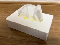 V2