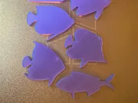 Poisson — photo 1