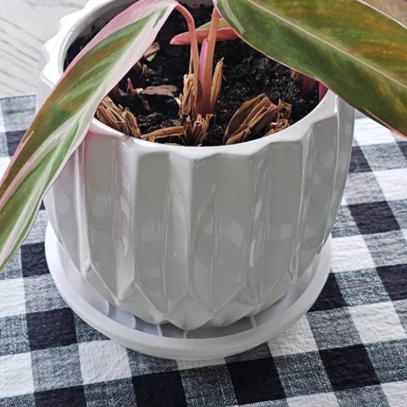 Flower Pot Tray