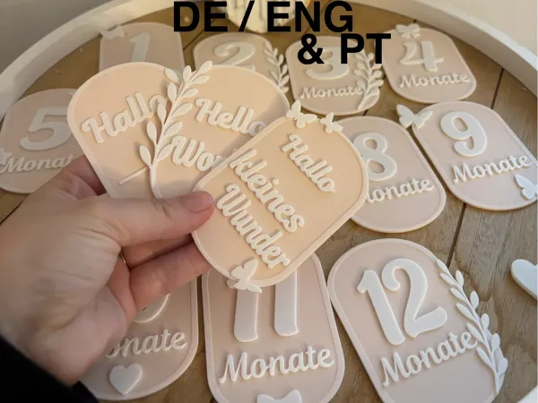 https://makerworld.bblmw.com/makerworld/model/US675e7a7654c2e8/design/a877d5d1090cd499.jpg