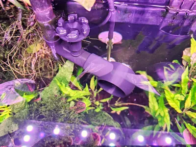 16/22 Aquarium Outflow with skimmer 