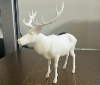 Deer