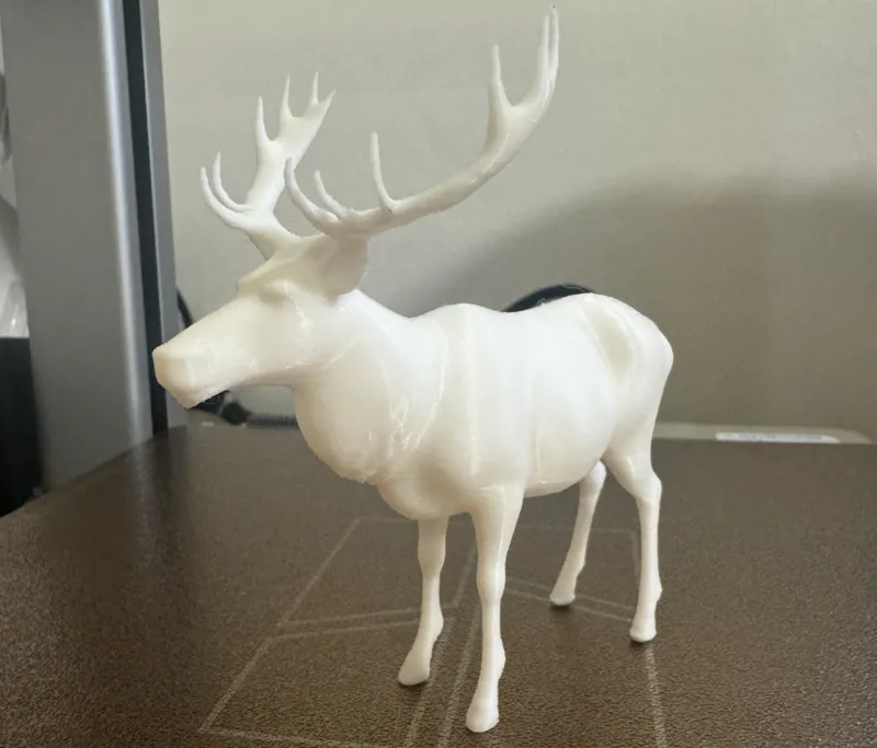 Deer