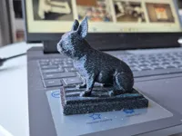 Bouledogue français — photo 1