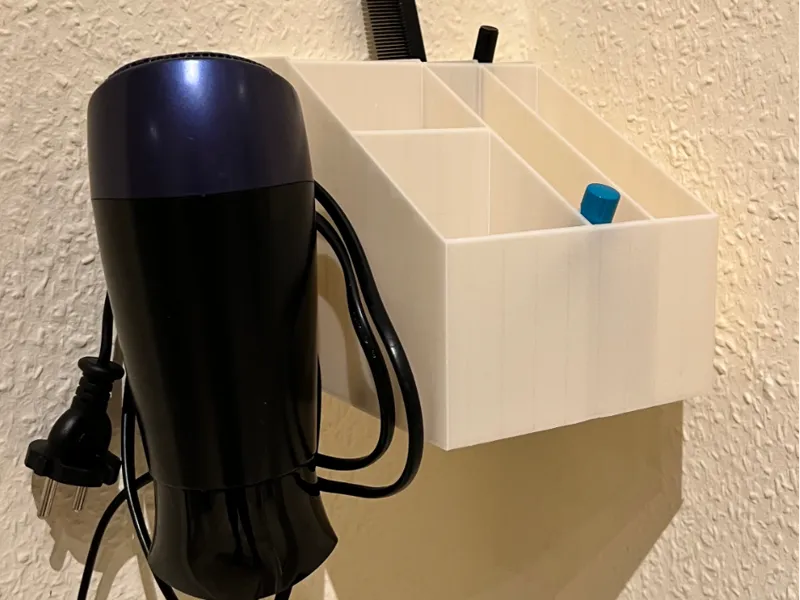 Cosmetic organizer with hair dryer holder