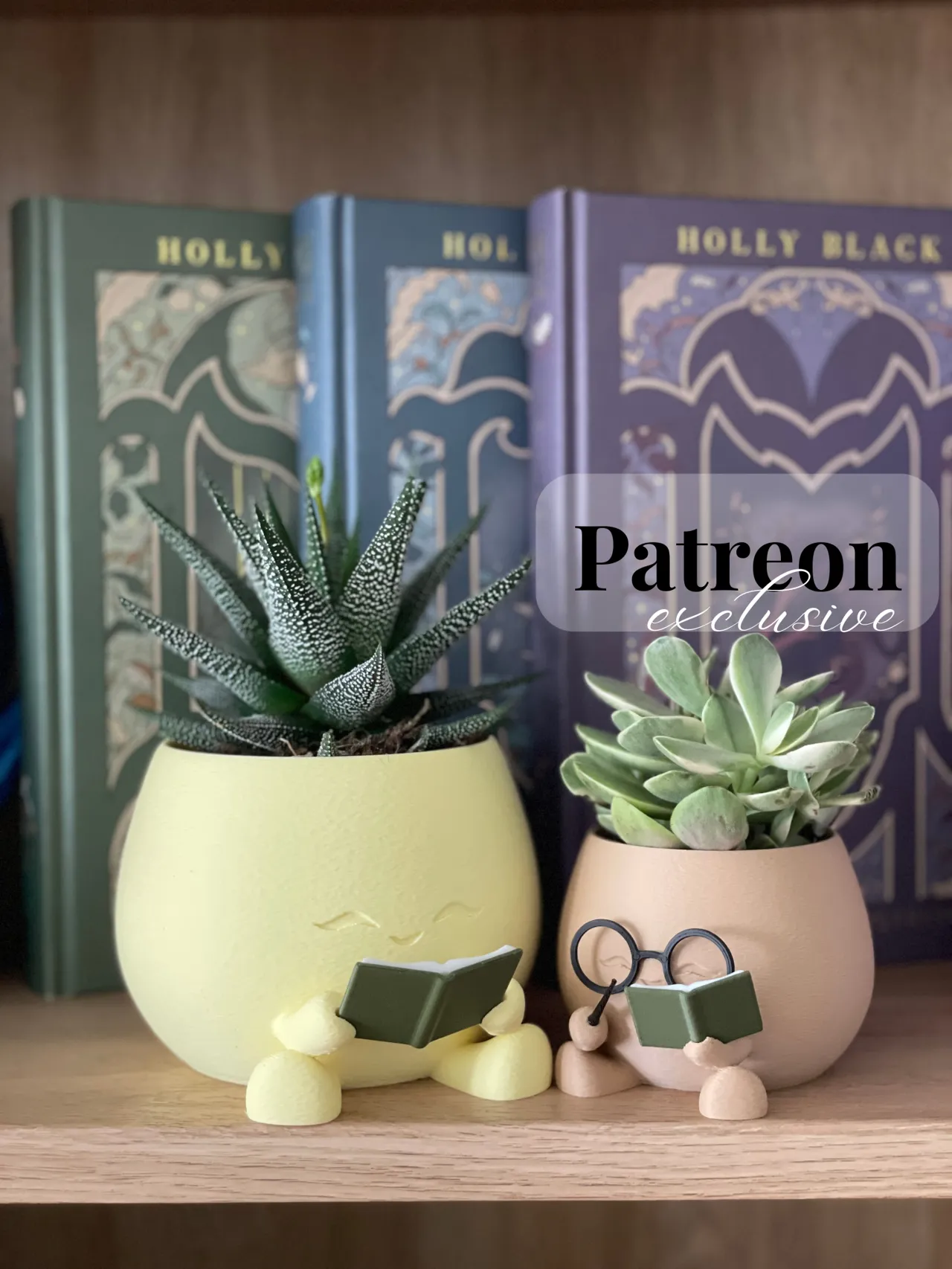 Reading Planter view 3