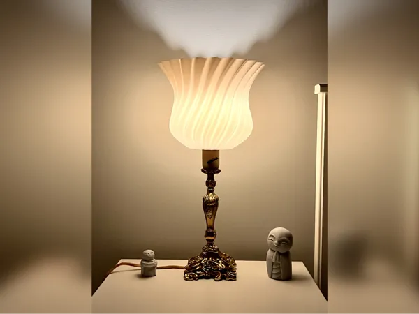 https://makerworld.bblmw.com/makerworld/model/US6771dff8224d6f/design/6144262954b604b6.jpg
