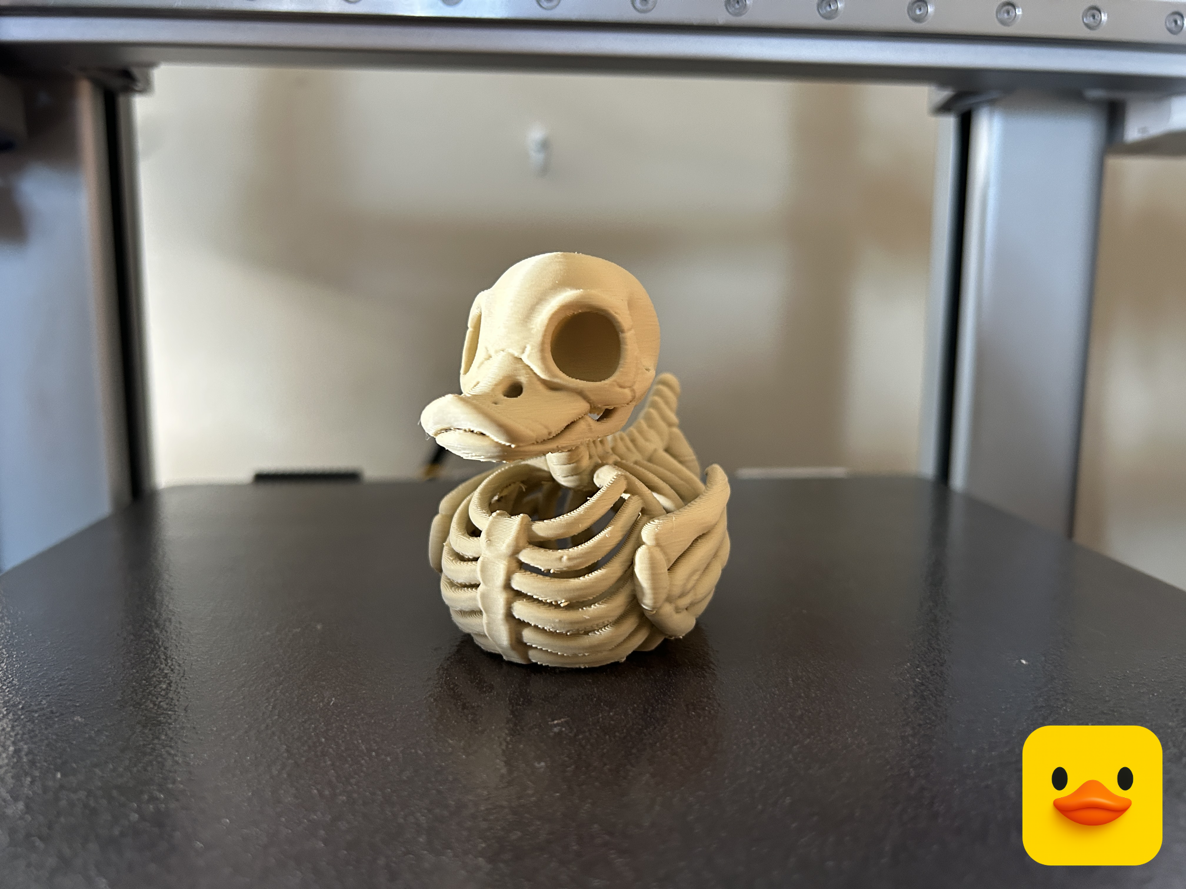 Hollow Skeleton Duck - 1
