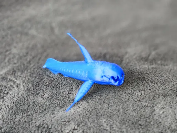 https://makerworld.bblmw.com/makerworld/model/US67755b86381052/design/0d198c620abe41a4.jpg
