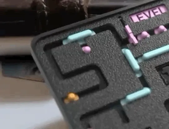 Pacman Wallet Maze view 4