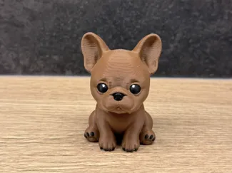Cute French Bulldog Puppy