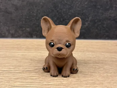 Cute French Bulldog Puppy