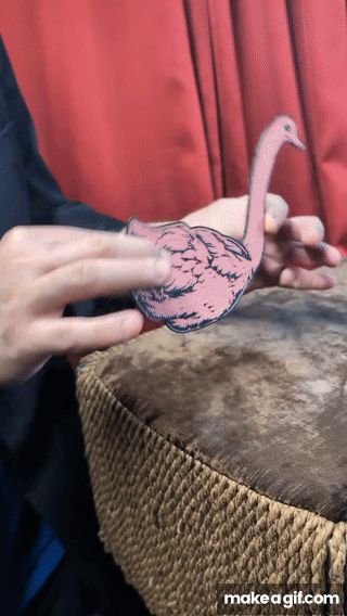 Elephant and the Ostrich Illusion - magic trick 