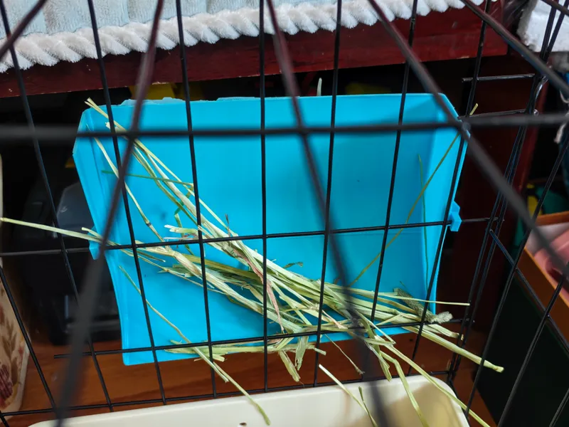 宠物兔草料架 外置草料架 兔子喂草器