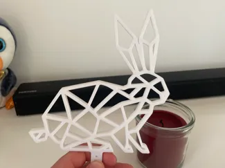 Easter Bunny For Plan Pot