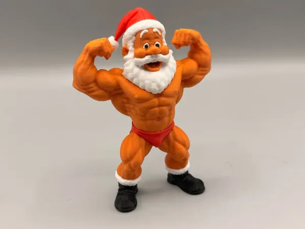 https://makerworld.bblmw.com/makerworld/model/US677d3d73f144c8/design/2025-12-03_7ec5b04e1775a.jpg