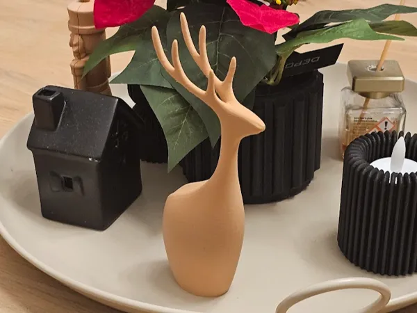 https://makerworld.bblmw.com/makerworld/model/US677fb46f781732/design/2025-11-30_3ca7787c3324.jpg